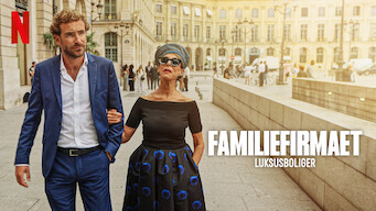 Familiefirmaet: Luksusboliger (2024)